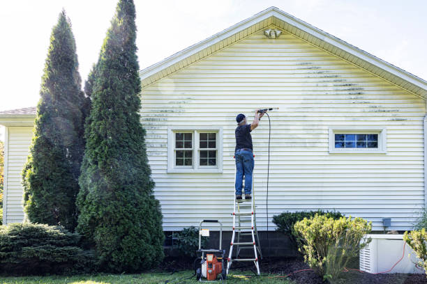 Best House Exterior Washing  in Driggs, ID